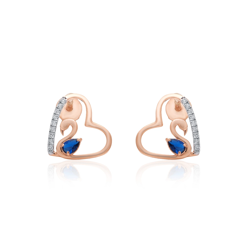 Earrings APS00273E