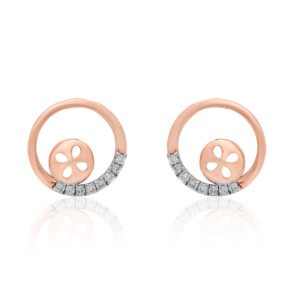 Earrings APS00275E