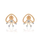 Earrings APS00277E