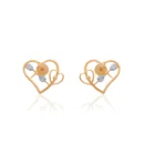 Earrings APS00279E