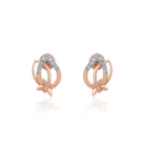 Earrings APS00280E
