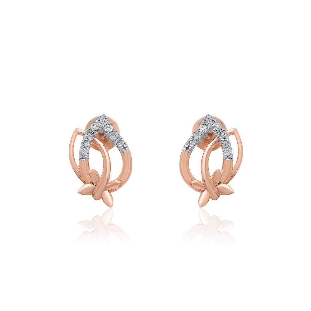 Earrings APS00280E