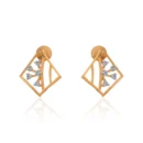 Earrings APS00295E