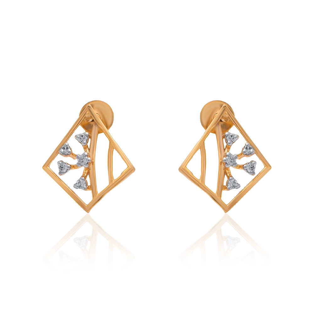 Earrings APS00295E