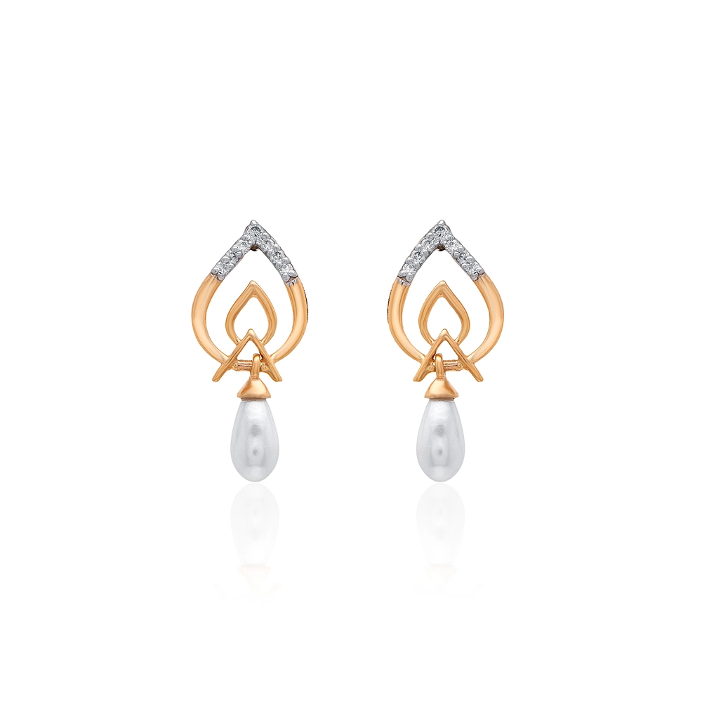 Earrings APS00299E