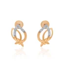 Earrings APS00300E