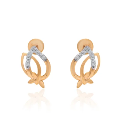 Earrings APS00300E