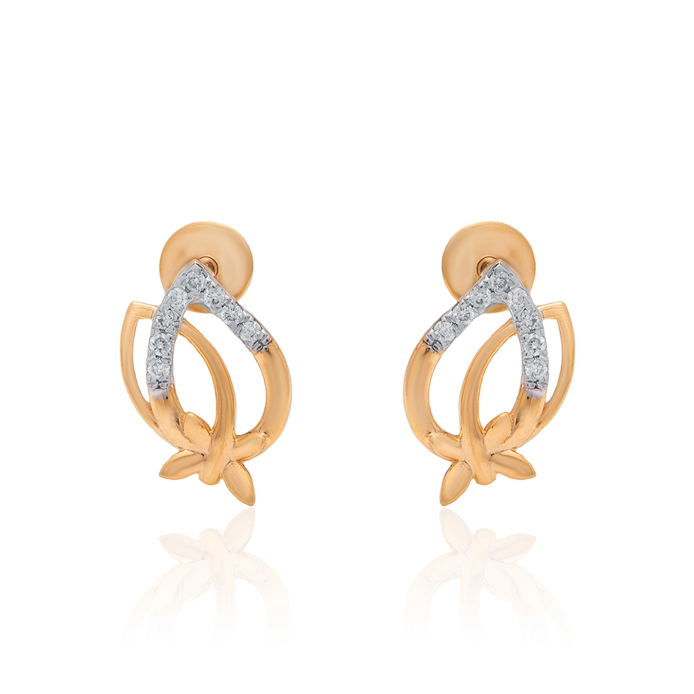 Earrings APS00300E