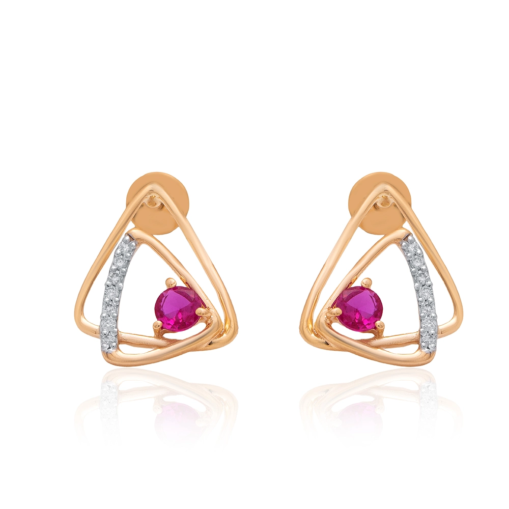 Earrings APS00301E