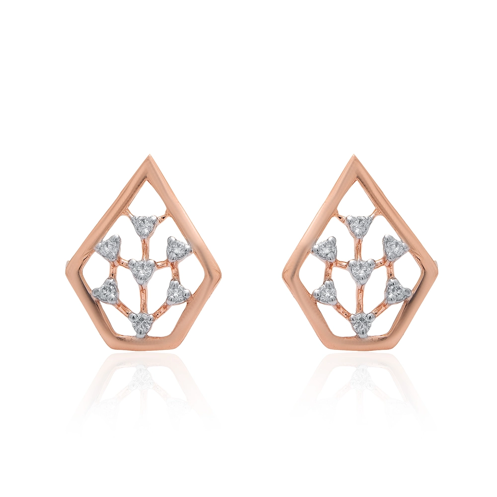 Earrings APS00302E