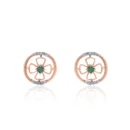 Earrings APS00315E