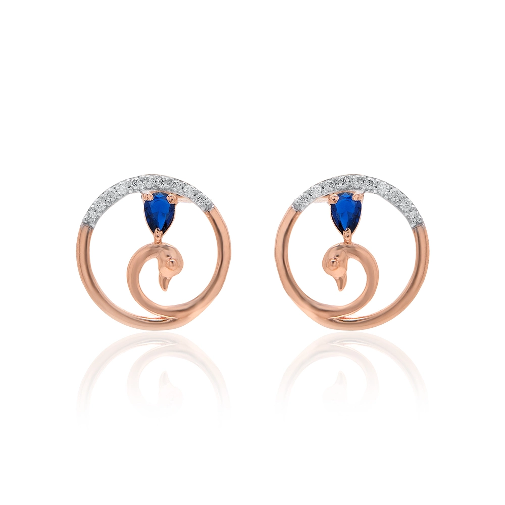 Earrings APS00316E
