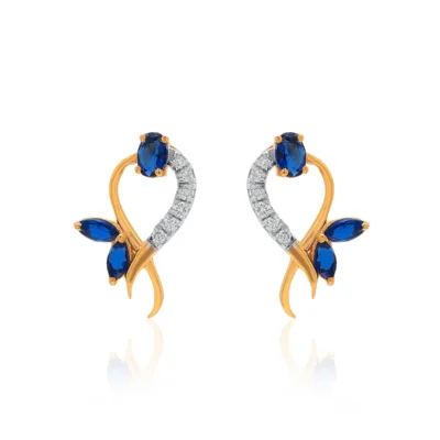 Earrings APS00318E