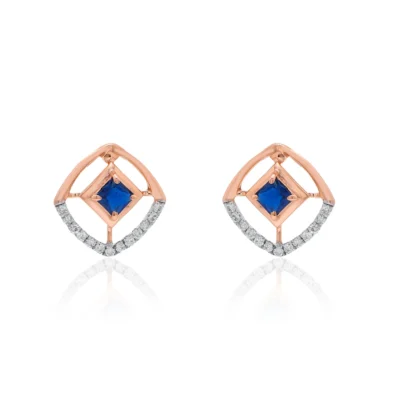 Earrings APS00319E