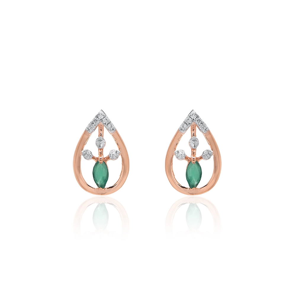 Earrings APS00321E