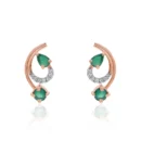 Earrings APS00322E