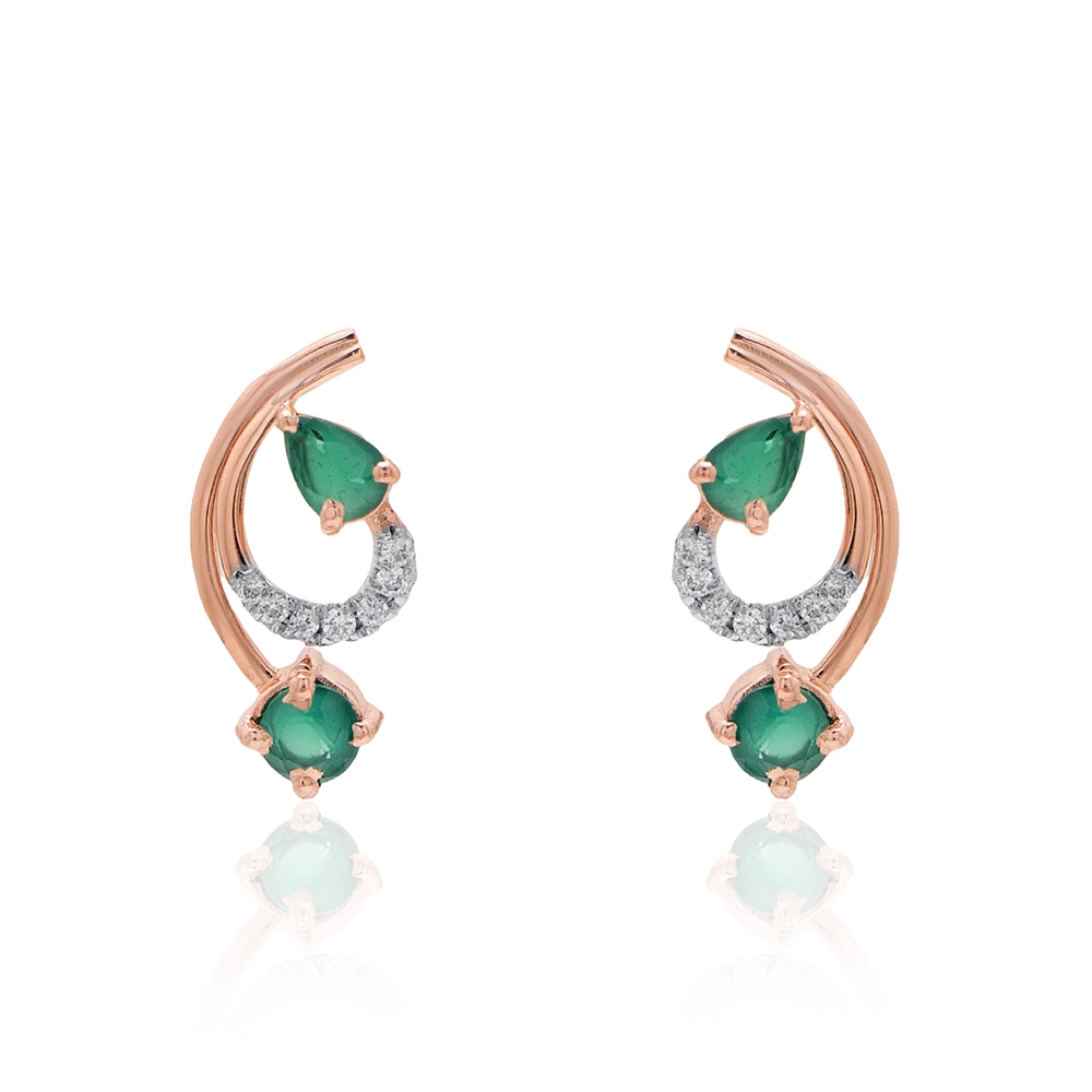 Earrings APS00322E