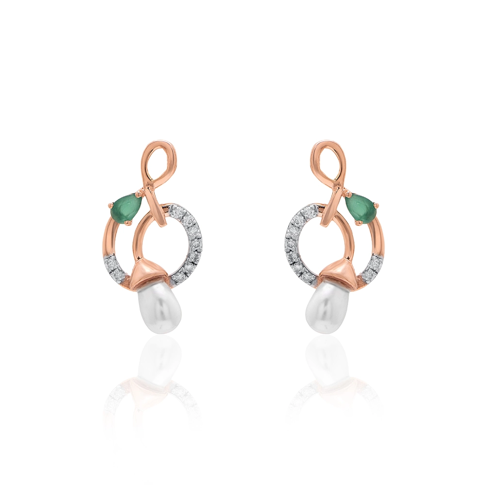 Earrings APS00325E
