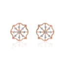 Earrings APS00326E