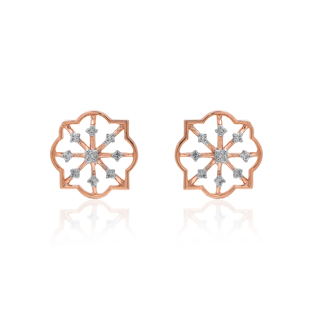 Earrings APS00326E