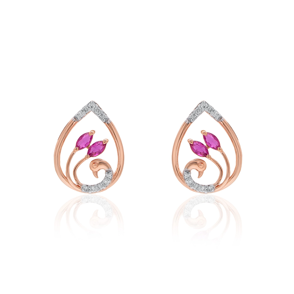 Earrings APS00327E