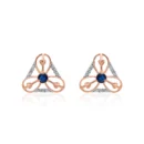 Earrings APS00328E