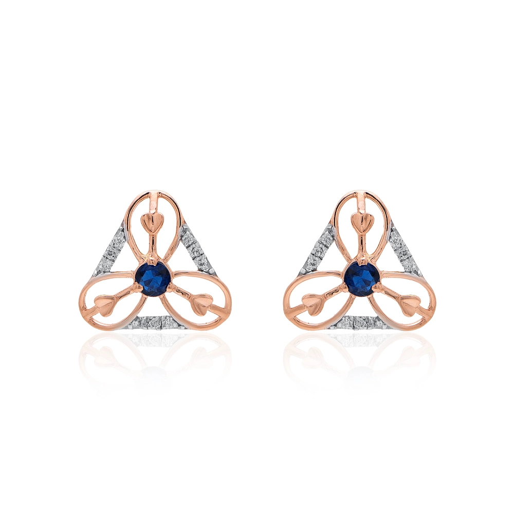 Earrings APS00328E