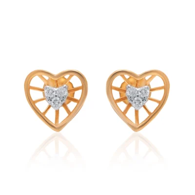 Earrings APS00332E
