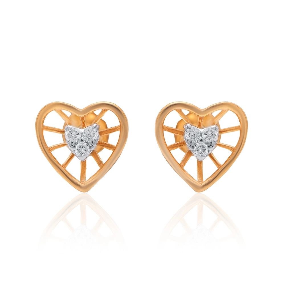 Earrings APS00332E