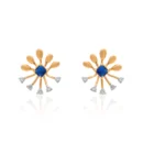 Earrings APS00361E