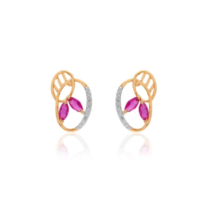 Earrings APS00399E