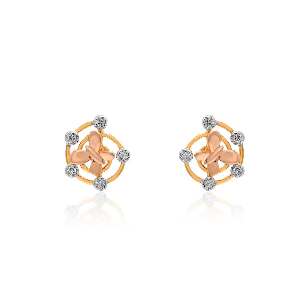 Earrings APS00428E