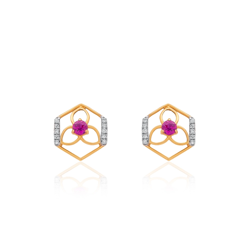 Earrings Yellow Gold APS00358E